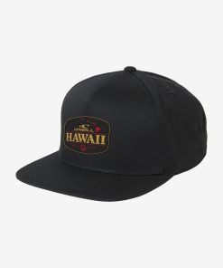 Hawaii Snapback Hat