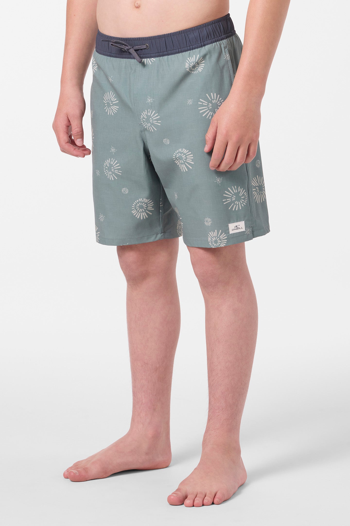 Boy's Hermosa Elastic Waist Lined 16 Swim Trunks - Image 3