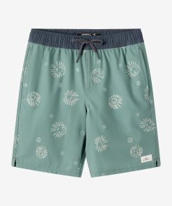 Boy's Hermosa Elastic Waist Lined 16 Swim Trunks
