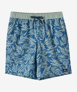 Boy's Hermosa Elastic Waist 16 Swim Trunks